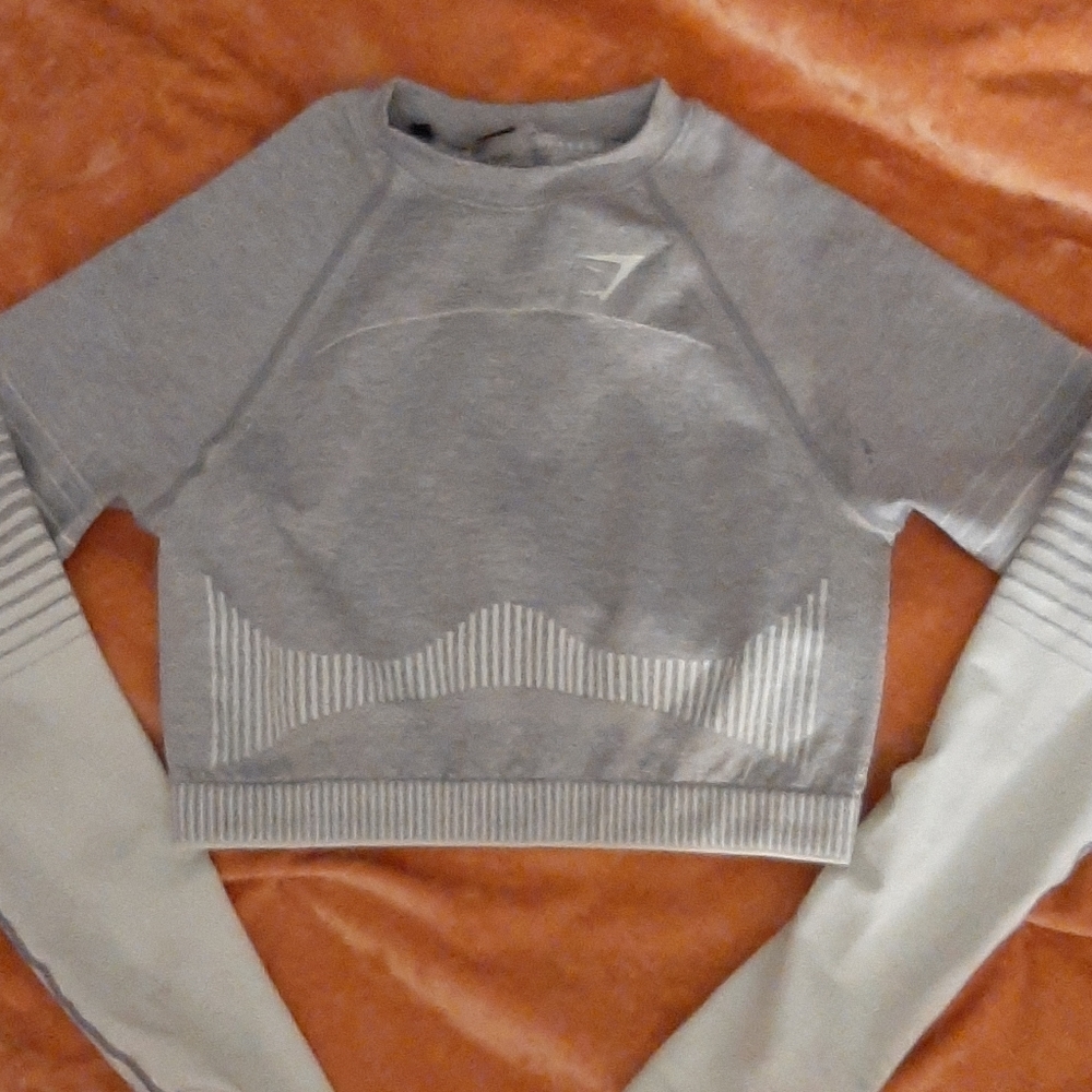 amplify gymshark